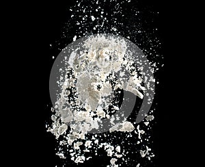 white powder explosion on black background for graphic