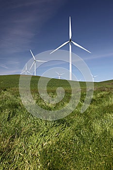 White Power Generating Wind Turbine