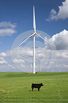 White Power Generating Wind Turbines