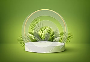 White product podium with green tropical palm leaves and golden round arch on green background. Background for product