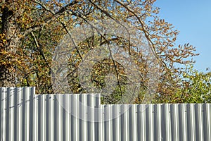 White profiled fence fencing the trees behind