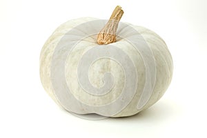 White pumpkin