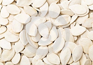 White Pumpkin seed