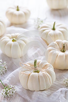 White pumpkings decoration for Thanksgiving