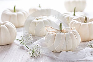 White pumpkings decoration for Thanksgiving