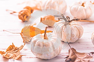 White pumpkins, poppy heads and autumn leaves on wooden background