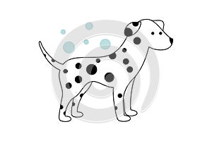 White puppy with black spots. Blue bubbles on the background.