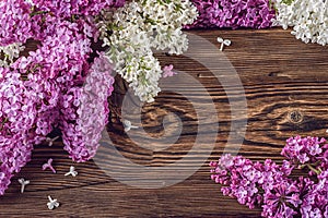 White and purple lilac on wooden background, place for text, spring blooming plant