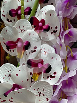 white and purple plastic flowers