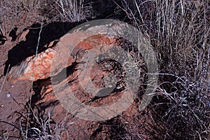 WHITE QUARTZITE EXPOSED IN ROCKS BETWEEN DRY GRASS