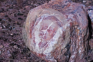 WHITE QUARTZITE MARKINGS IN A ROCK