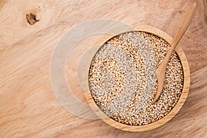 White quinoa seed