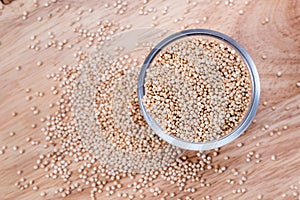 White quinoa seed