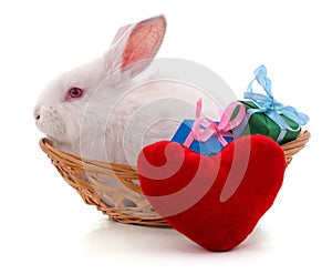 White rabbit in a basket with gifts and hearts