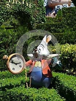 White rabbit from the Disney movie Alice in Wonderland with his watch. It`s getting late. Do not waste time. Lewis Carrol book cha