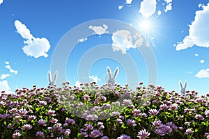 White rabbit on flowering field