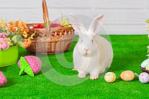 White rabbit on the grass with flowers and a basket