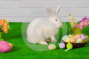White rabbit on the grass with flowers and a basket