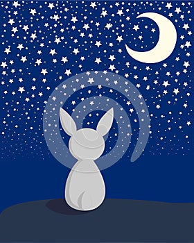 White rabbit looks at the night sky with stars and moon. Vector illustration