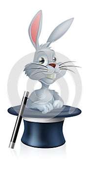 White rabbit and magic hat