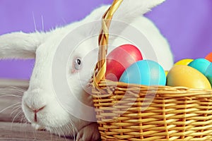 White rabbit near a basket