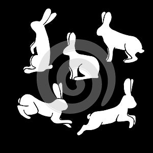 White rabbit silhouette set. Vector set of rabbit silhouettes isolated on Black background. clipart.