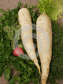 White radish