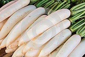 White radish