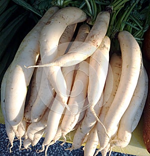 White radish at an agricultural flea market