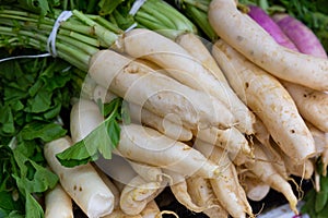 White radish in boxes on counter photo