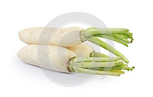 White Radish