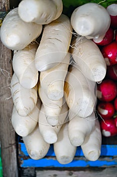 White Radish Texture