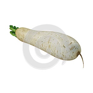 White Radish on Transparent Background - Ai Generated