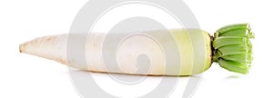 White Radish on the white background