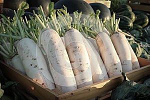 White radish in wooden crate