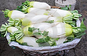 White radishes in basket