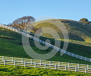 A white ranch fence is running diagonally up a green grass hillside.