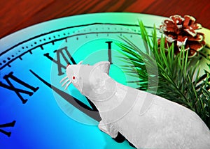White rat toy on the clock-plate.