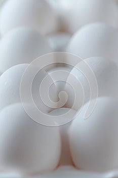 White raw chicken eggs in a plastic tray close-up. Chicken eggs background