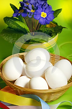 White raw eggs with primrose and spring green background