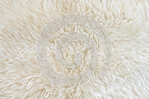 White real wool with beige top texture background. light cream natural sheep wool.  seamless plush cotton, texture of fluffy fur