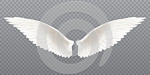White realistic wings. Pair of white isolated angel style wings with 3D feathers on transparent background, bird wings design