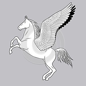 White rearing horse with wings