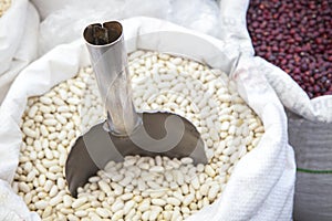 White and red beans in rolled up sacks