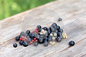 white, red and black currant berries on wooden table outside on blurred natural green background.