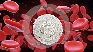 White and red blood cells. Leukocytes. 3d illustration.