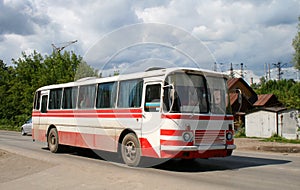 White and red bus