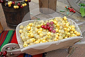 White and red cherries in wicker basket, cherry festival
