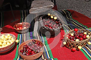 White and red cherries in wicker basket, Cherry festival
