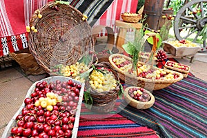 White and red cherries in wicker basket, cherry festival. Selective focus